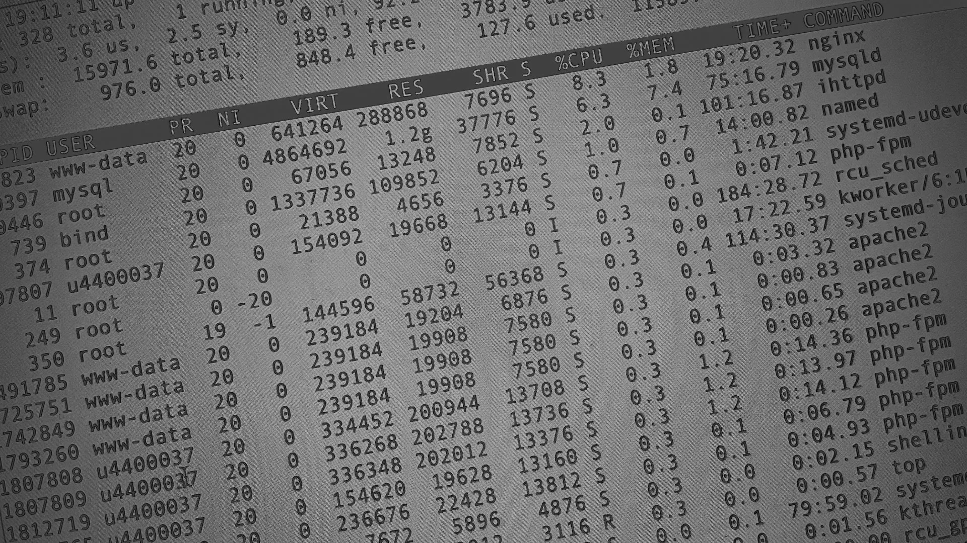 Настройка сервера в Пугачёве Настройка сервера в Пугачёве