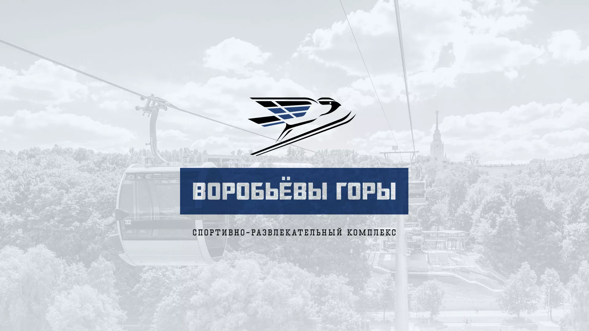 Разработка сайта в Пугачёве для спортивно-развлекательного комплекса «Воробьёвы горы»