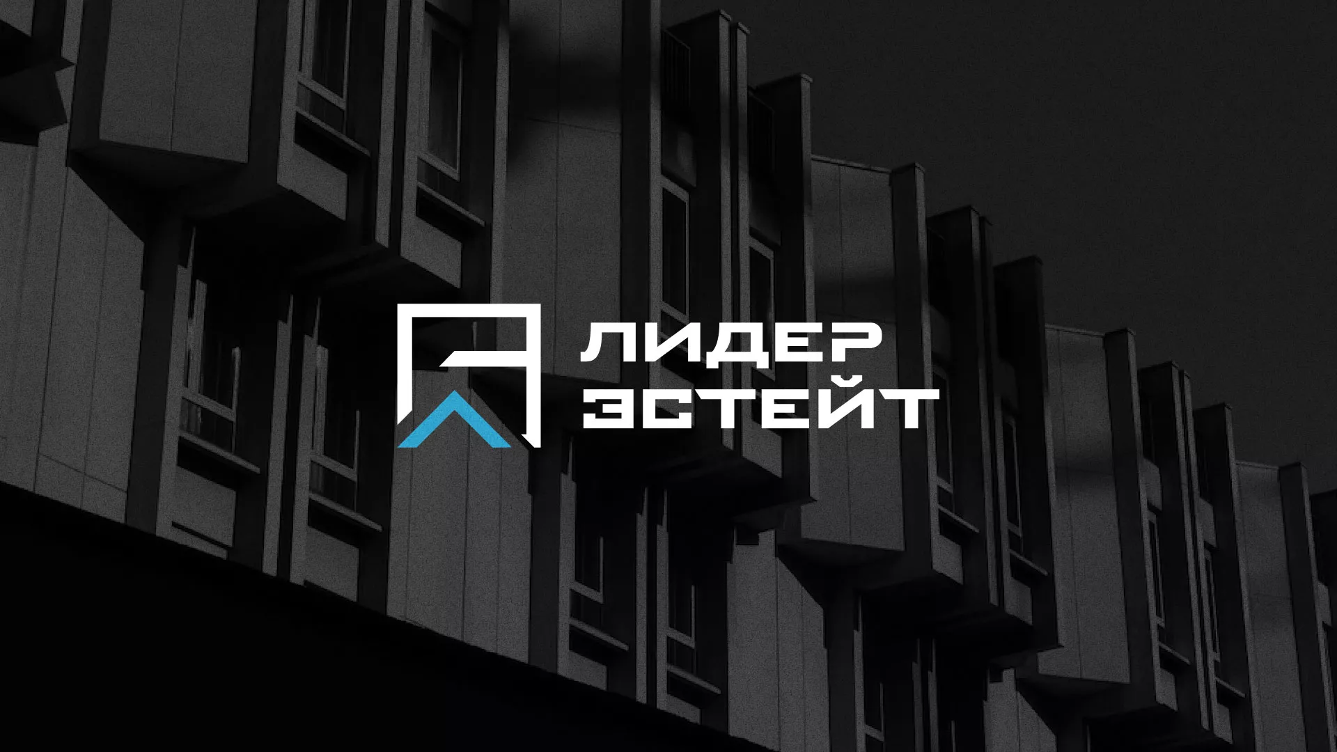 Разработка логотипа агентства недвижимости «Лидер Эстейт» в Пугачёве